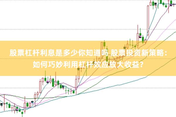 股票杠杆利息是多少你知道吗 股票投资新策略：如何巧妙利用杠杆效应放大收益？