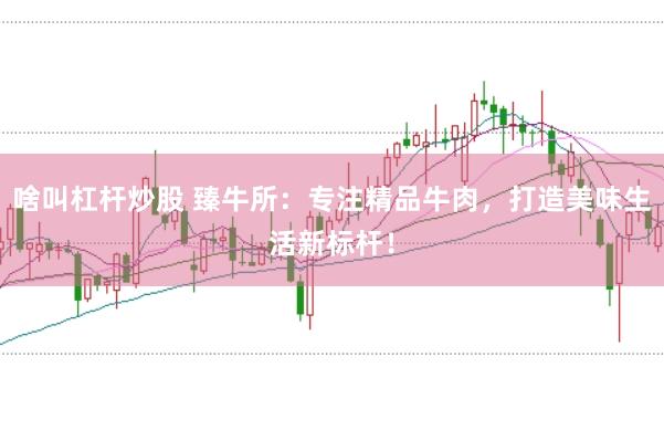 啥叫杠杆炒股 臻牛所：专注精品牛肉，打造美味生活新标杆！