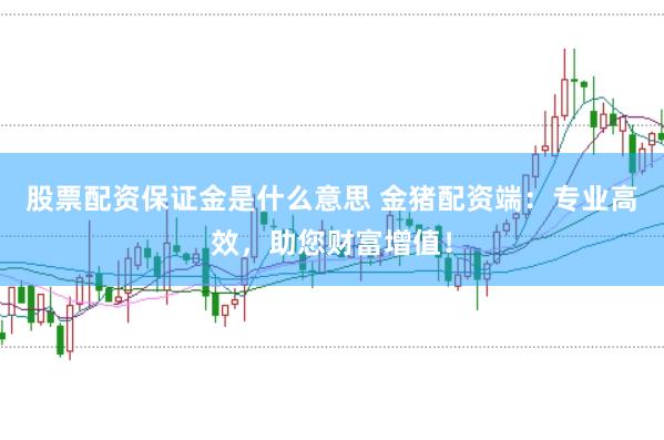 股票配资保证金是什么意思 金猪配资端：专业高效，助您财富增值！