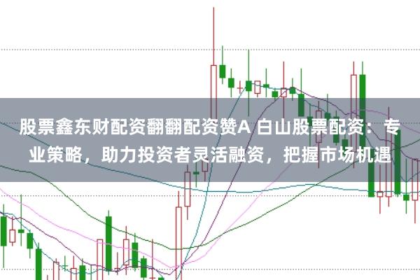 股票鑫东财配资翻翻配资赞A 白山股票配资：专业策略，助力投资者灵活融资，把握市场机遇