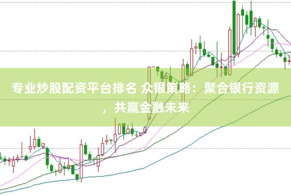 专业炒股配资平台排名 众银策略：聚合银行资源，共赢金融未来