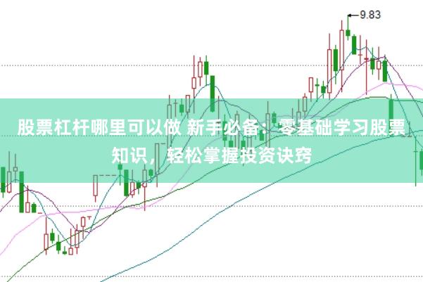 股票杠杆哪里可以做 新手必备：零基础学习股票知识，轻松掌握投资诀窍