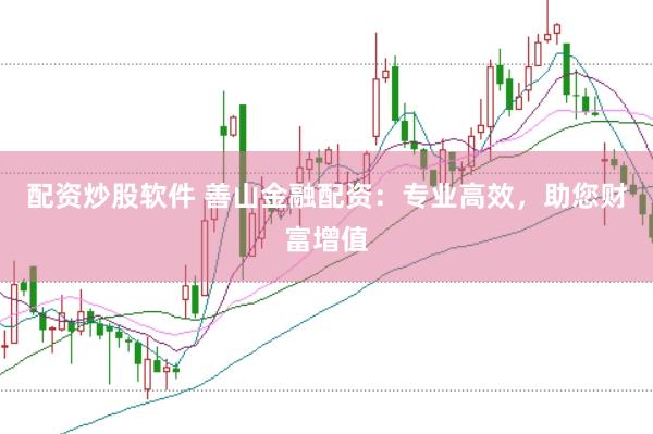 配资炒股软件 善山金融配资：专业高效，助您财富增值