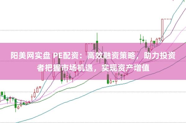 阳美网实盘 PE配资：高效融资策略，助力投资者把握市场机遇，实现资产增值