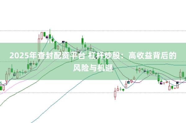 2025年查封配资平台 杠杆炒股:高收益背后的风险与机遇