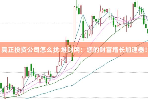 真正投资公司怎么找 堆财网:您的财富增长加速器!