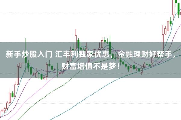新手炒股入门 汇丰利独家优惠,金融理财好帮手,财富增值不是梦!