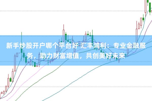 新手炒股开户哪个平台好 汇丰鸿利:专业金融服务,助力财富增值,共创美好未来