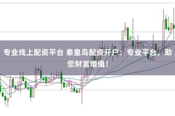 专业线上配资平台 秦皇岛配资开户:专业平台,助您财富增值!