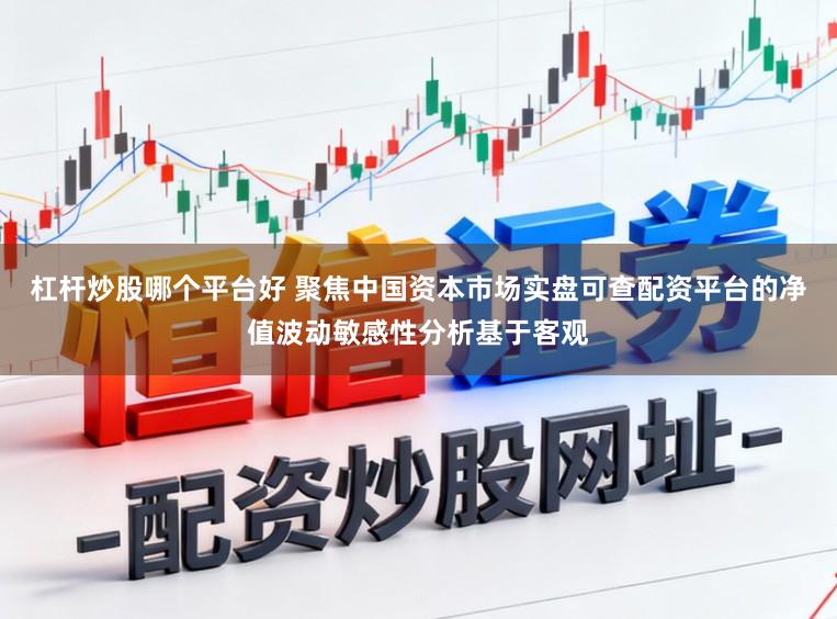 杠杆炒股哪个平台好 聚焦中国资本市场实盘可查配资平台的净值波动敏感性分析基于客观