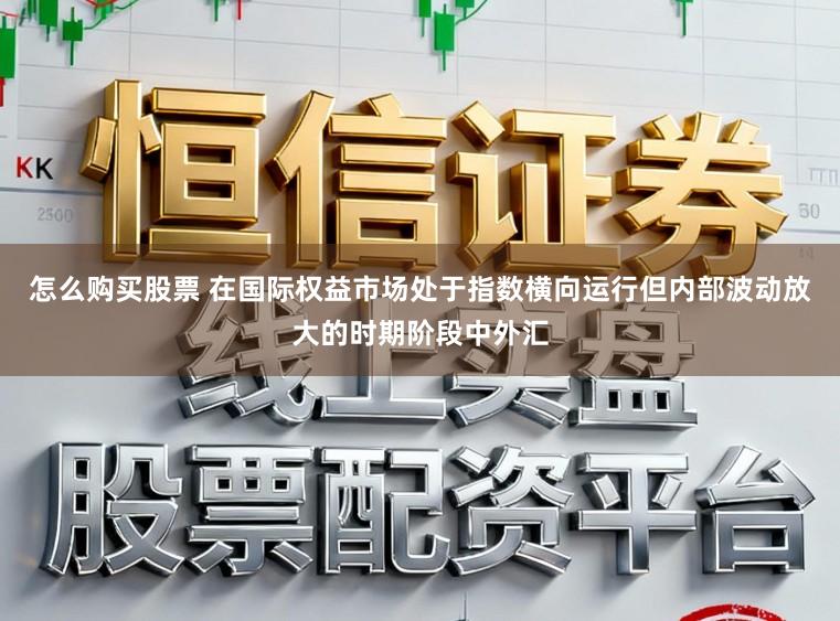 怎么购买股票 在国际权益市场处于指数横向运行但内部波动放大的时期阶段中外汇