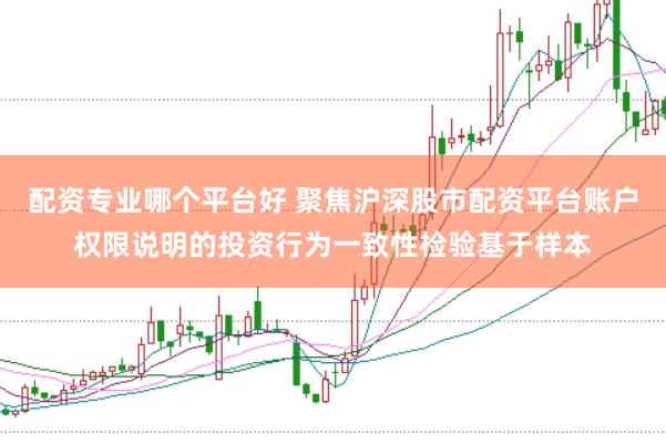 配资专业哪个平台好 聚焦沪深股市配资平台账户权限说明的投资行为一致性检验基于样本